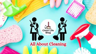 How to Remove Ants?