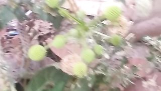 Animals lovers 9