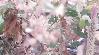 Animals lovers 10