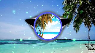 Summer Vibes: A Sunny Music Journey