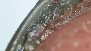 Science 5