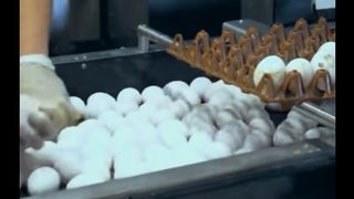 Shoger making prosess