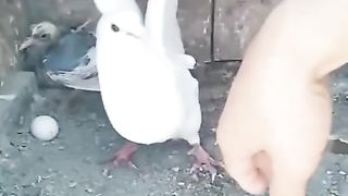 Wah maa to maa hoti h