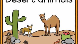 Kids lesson Desert animals vocabulary learning very easy way for toddlers and babies