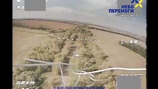 Ukraine Russia War | Compilation of Fresh FPV "Hrim" Drone Strikes | 2S4 "Tyulpan," T-72, T- | RCF