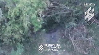 Ukraine Russia War | Third Assault Division Calls in M777 Fire | Russian Drone Prep | Bakhmu | RCF