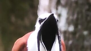 So cute 可愛い