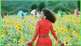 Bollywood Song 4