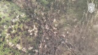 Ukraine Russia War | Ukrainian Forces Shell Russian Position with Cluster Munition | Bakhmut | RCF