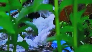Water_ video
