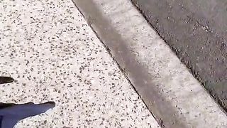 Snake 10