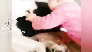 Funny animals 114