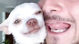 Dog funny 16