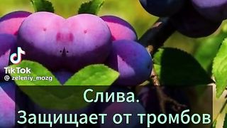 Полезные советы
