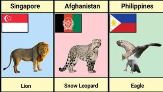 National Animals of different countries.