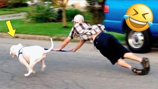 Best Funny Videos ???? - People Being Idiots _ ???? Try Not To Laugh - BY FunnyTime99 ????️ #26