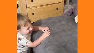 Cute babies playing with cats