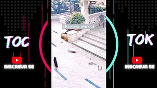 Vídeos mais engraçado dó Tik Tok