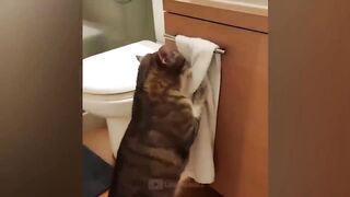 I laughed until I cried - Fun with animals 2023 2