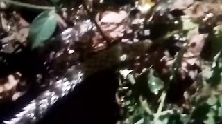 Animals lovers 16