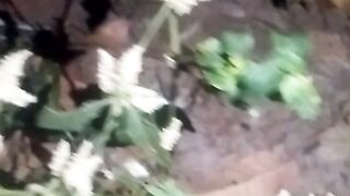Animals lovers 17