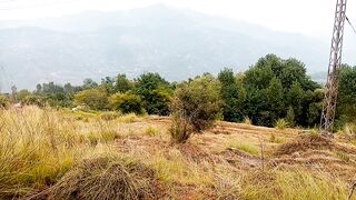 Beauty of Kashmir paniola Azad Kashmir beautiful view #beauty of Kashmir #kashmirview #kashmirvalley