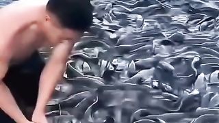 A fish farmer is feeding his fish. There are many fish in the pond