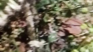 Animals lovers 24