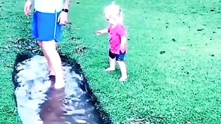Funny videos 401
