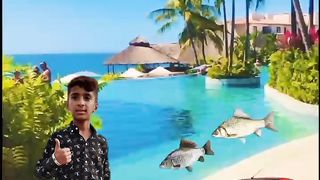 TikTok video 69
