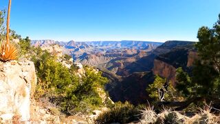 Mind Relaxing Video | Best Nature for Calm the Mind | HD Video | Natural Beauty Video
