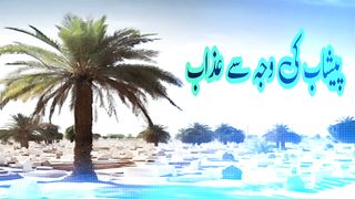 Peshab ke chiton se bachna.hadith sharif.hadees pak.