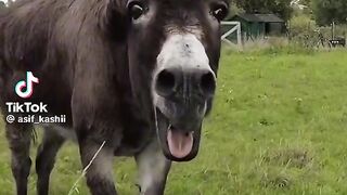 This video is so funny https://stfly.xyz/63gyc