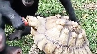 Sharing is caring :)