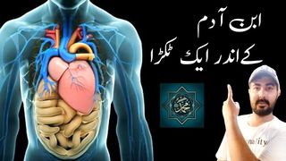 Hadith rasool.pegham .insani dil.hadith.