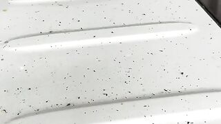 Car Wash GLC300
