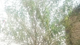 Viral video 49