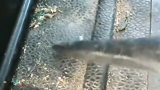 Deeply Washing Service 2