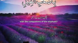 Surah Al Fil Beautiful Recitation Voice With Urdu and English Translation