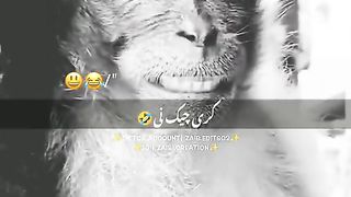 Funny Monkey Viral Video 19