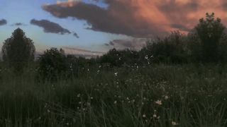Control Zoe Wees (Lyrics)