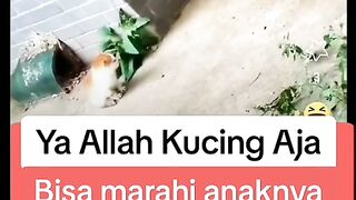 Oh my God, even animals can get angry at their children who forget to come home