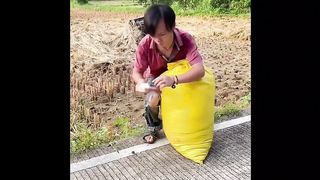 Funny ???????? video 2023 16