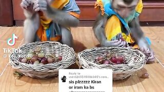 TikTok video 70