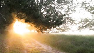 Best Nature Video | 4 K Nature | Beautiful Relaxing Video | Peaceful Nature