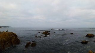 Best Nature Status Video | Best View | Calm and Relax | Beautiful Scenery