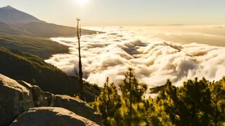 Beautiful Relaxing NATURE | Relax Mind and Soul |Brain Active Nature | Calming Video| #naturevideo #febspotvideo