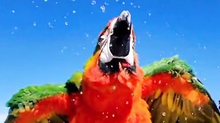 Beautiful Whatsapp Status Video | Beautiful Nature Video |Enjoying Winter | #nature #febspot #status #whatsapp