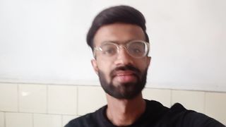 Aseel murgy 2