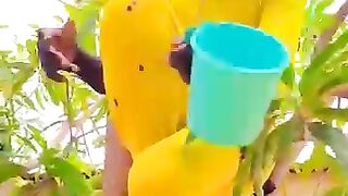 Comédie vidéo 15